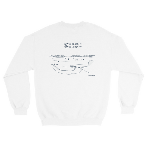 DAMAJ Control Sweatshirts