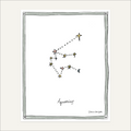 The Zodiac Collection | Aquarius (January 20 – February 18)