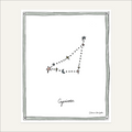 The Zodiac Collection | Capricorn (December 22 – January 19)