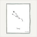 The Zodiac Collection | Taurus (April 20 – May 20)