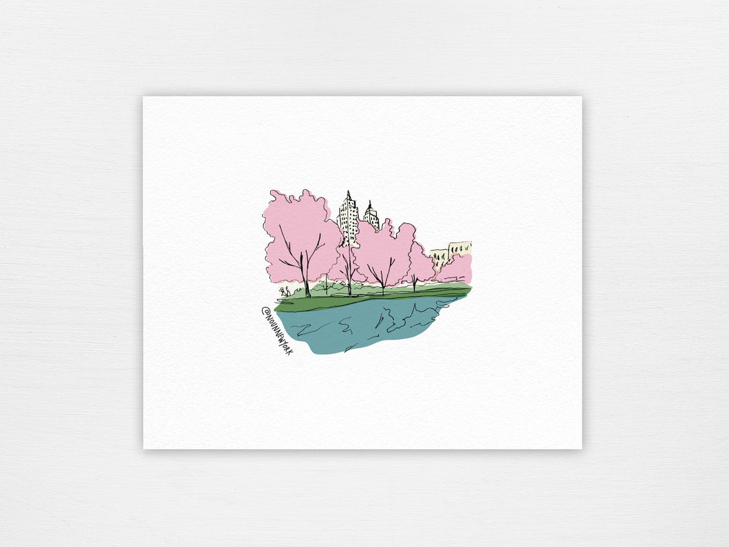 NYC Storefront Illustrations | Central Park Cherry Blossoms Print